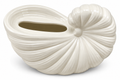 Ivory Seashell Tissue Box