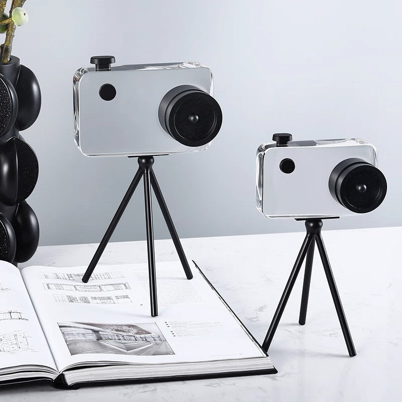 Glass camera decoration