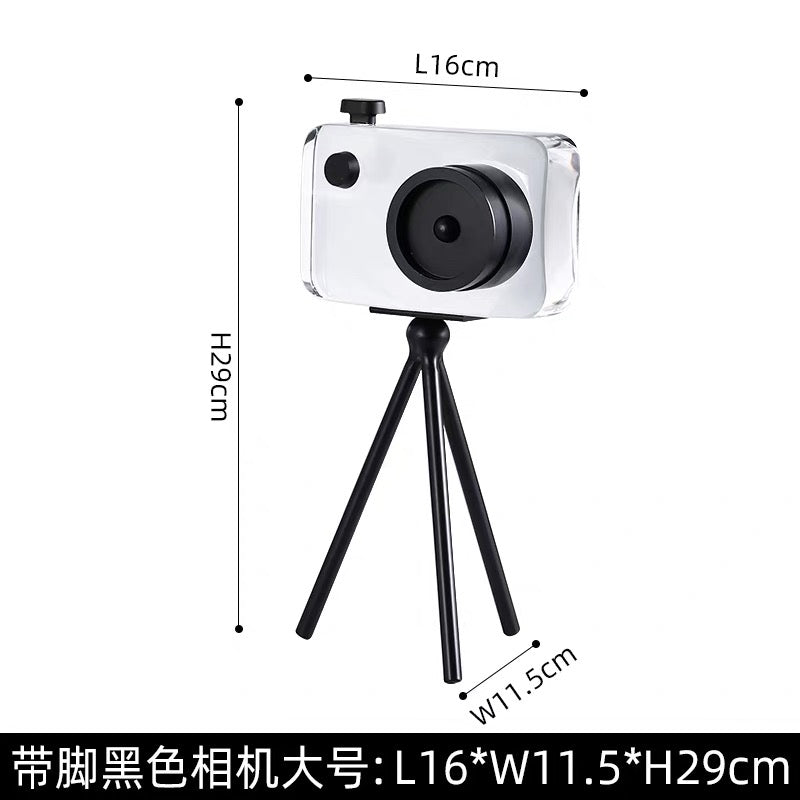 Glass camera decoration